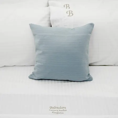 Apartament Belvedere *